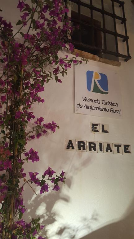 베예데라프론테라 El Arriate De Vejer 아파트 외부 사진